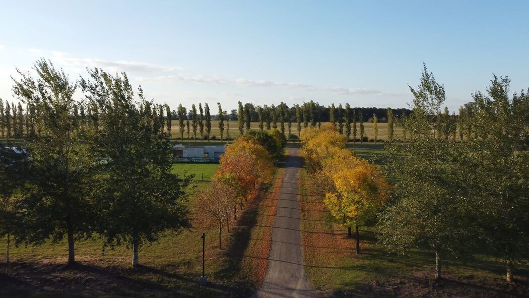 Haras de Funes