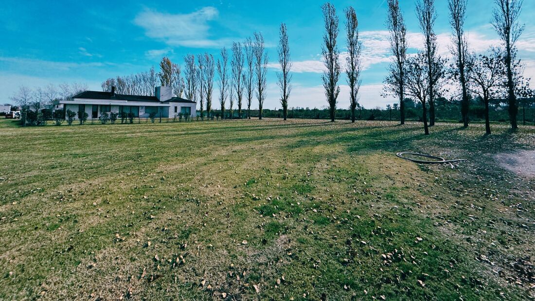 Lote 4